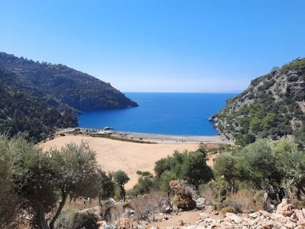 Lübnanlı İşadamına Bodrum Tuzağı! Organize Tapu Kumpası Deşifre Oldu